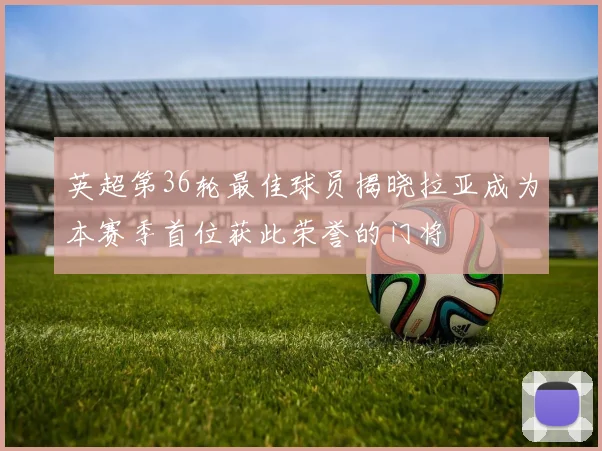 英超第36轮最佳球员揭晓拉亚成为本赛季首位获此荣誉的门将